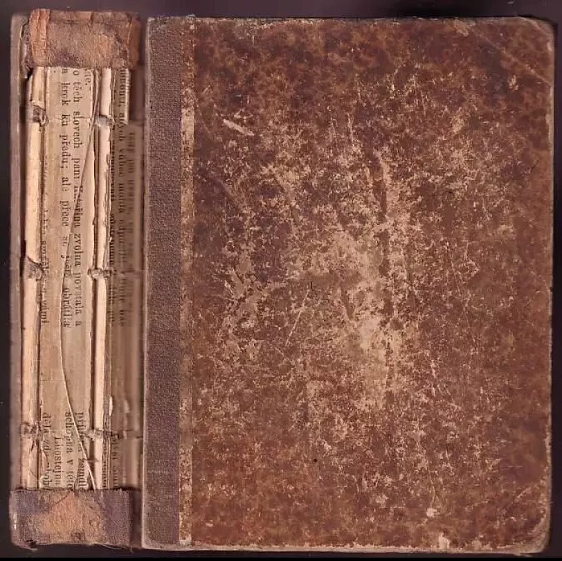 Bílý mouřenín + 250.000. román od Michala Baluckého (svázané v jedné knize) (Michał Bałucki, 1883)