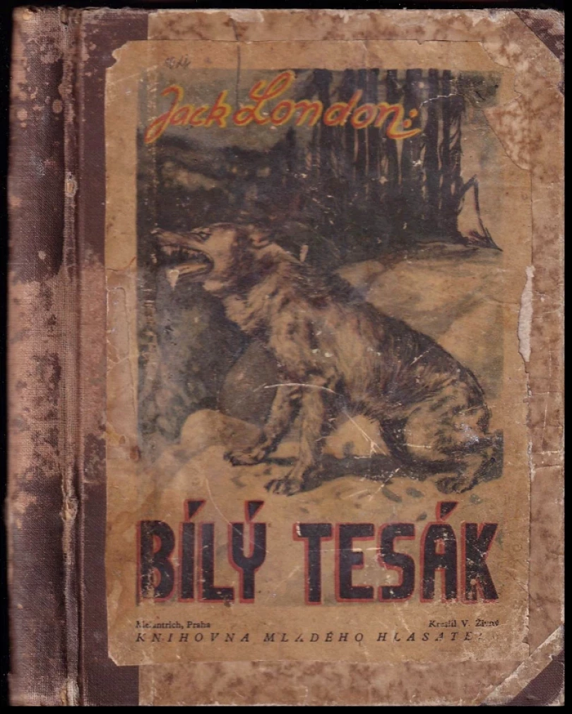 Bílý Tesák (Jack London, 1940)