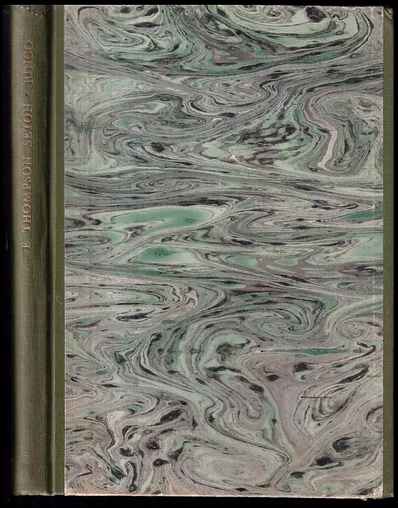 Levně Bingo (Ernest Thompson Seton, 1929)