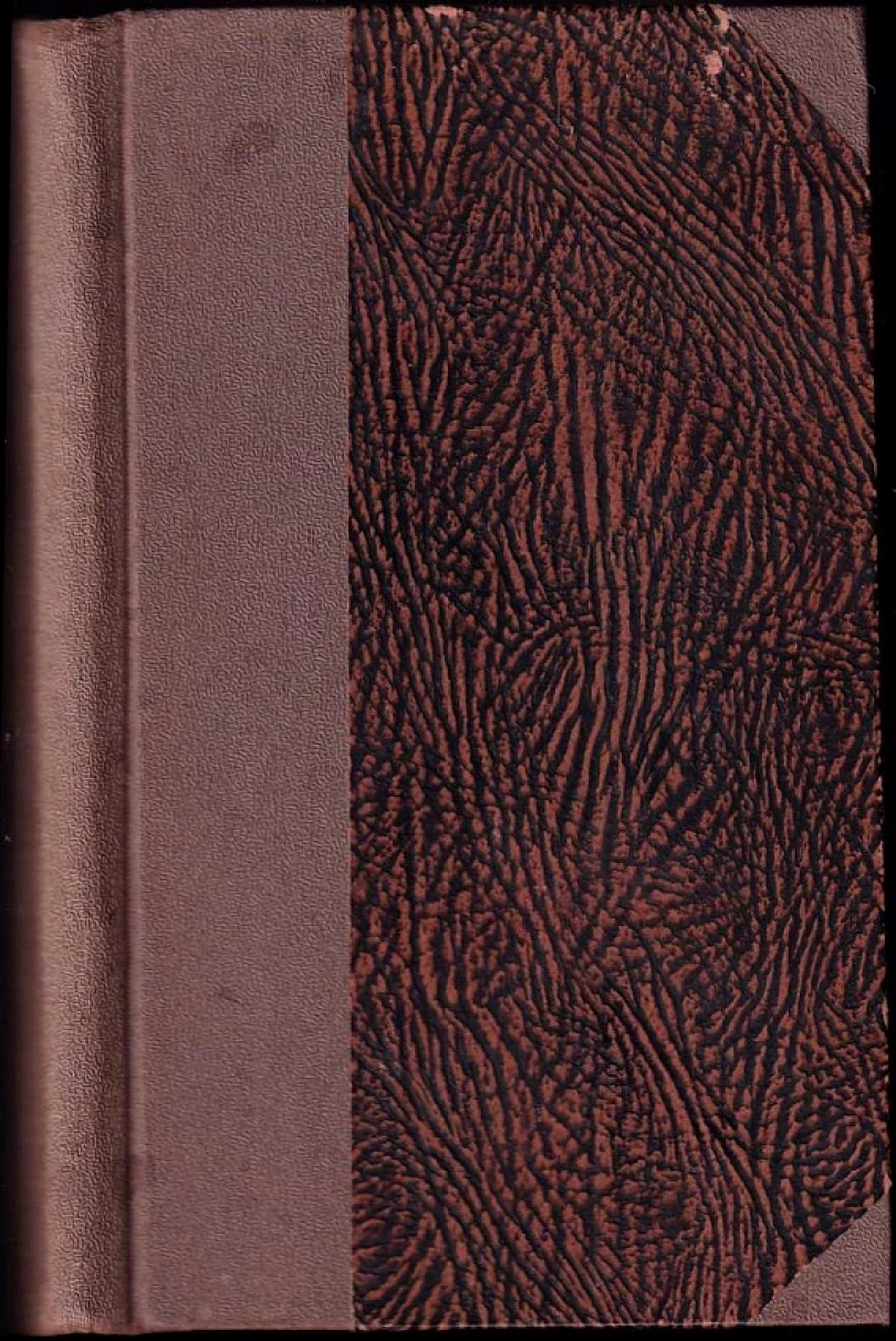 Levně Blahoslavená Anežka Česká (Běla Dlouhá, 1929)