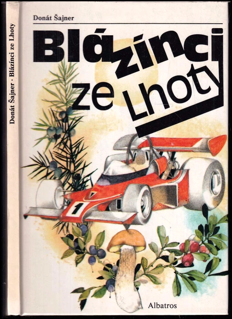 Levně Blázínci ze Lhoty (Donát Sajner, 1986)