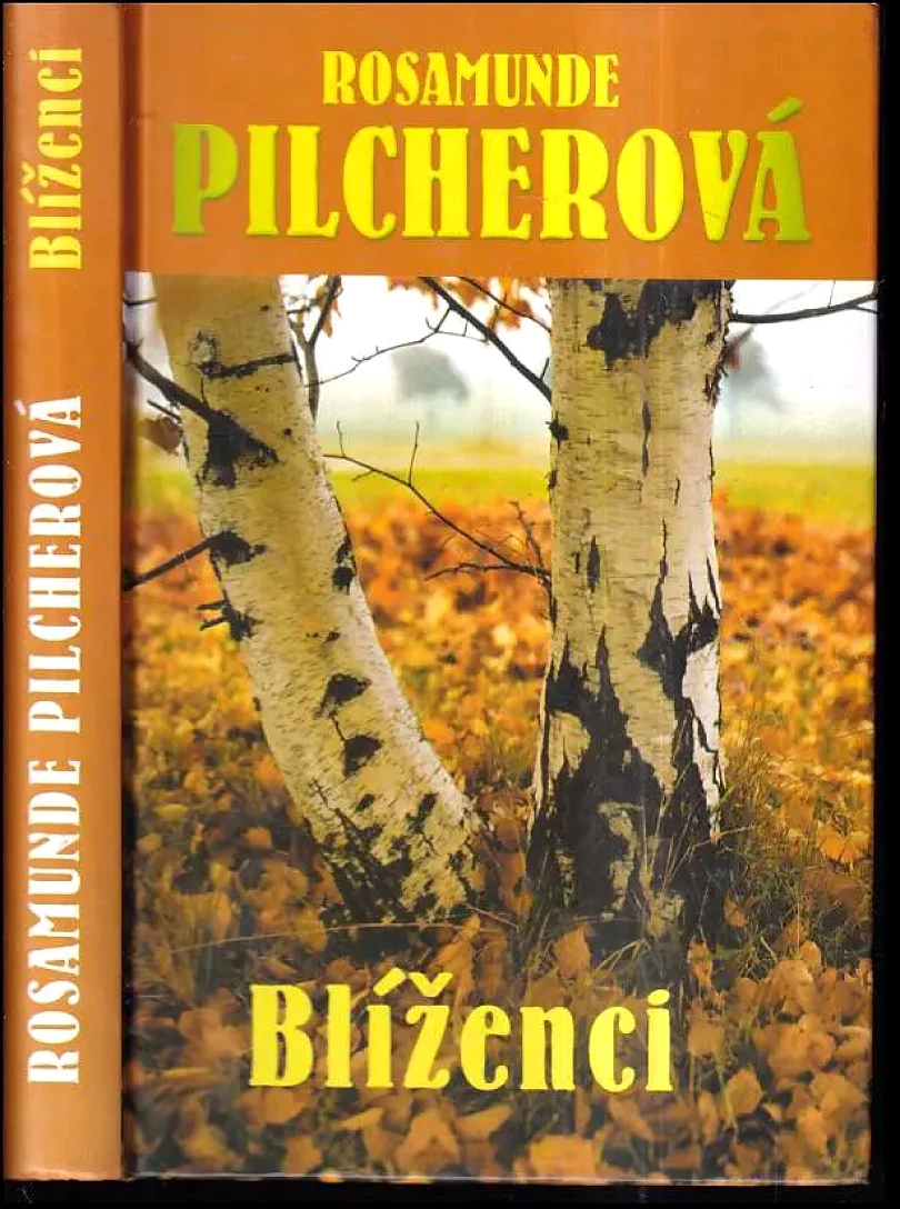 Levně Blíženci (Rosamunde Pilcher, 2003)