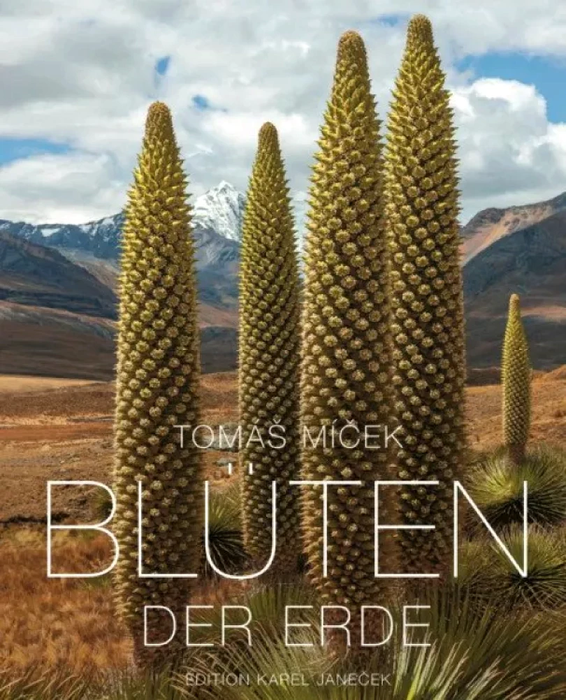 Blüten der Erde (Tomáš Míček, 2021)