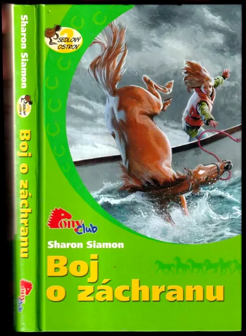 Boj o záchranu (Sharon Siamon, 2008)