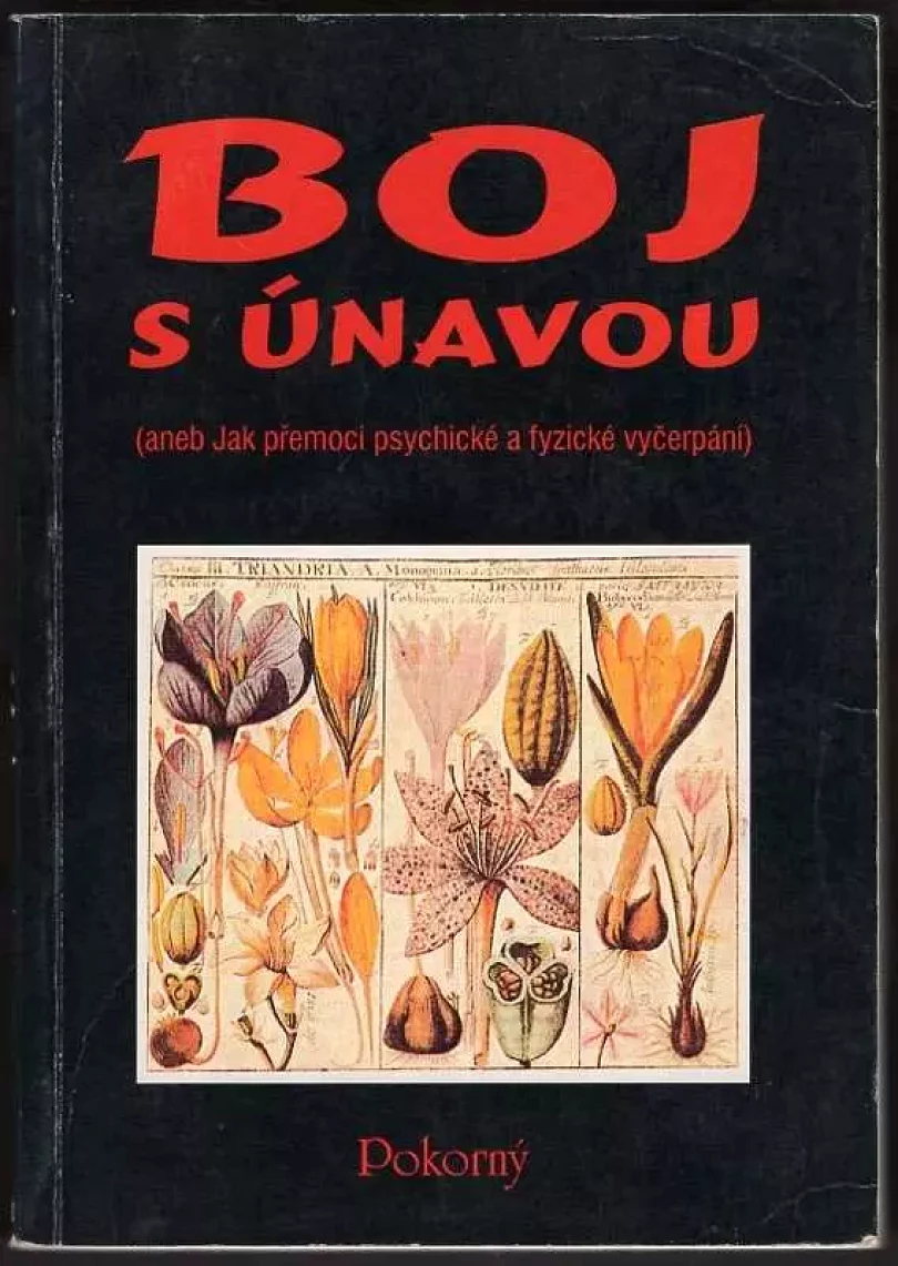 Boj s únavou (, 1993)
