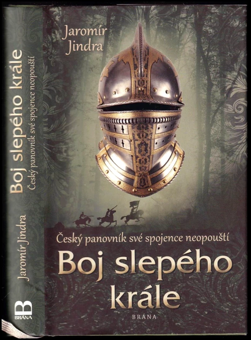 Boj slepého krále (Jaromír Jindra, 2019)