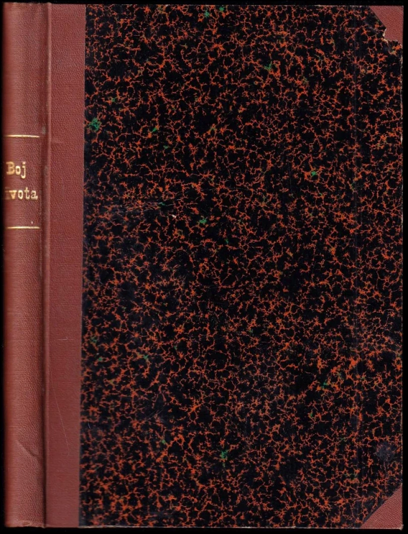 Boj života (František Černý, 1907)