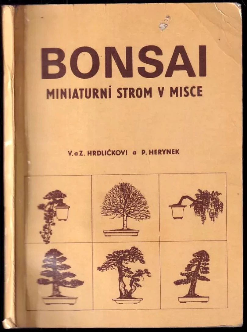Bonsai - miniaturní strom v misce (Věna Hrdličková, 1983)