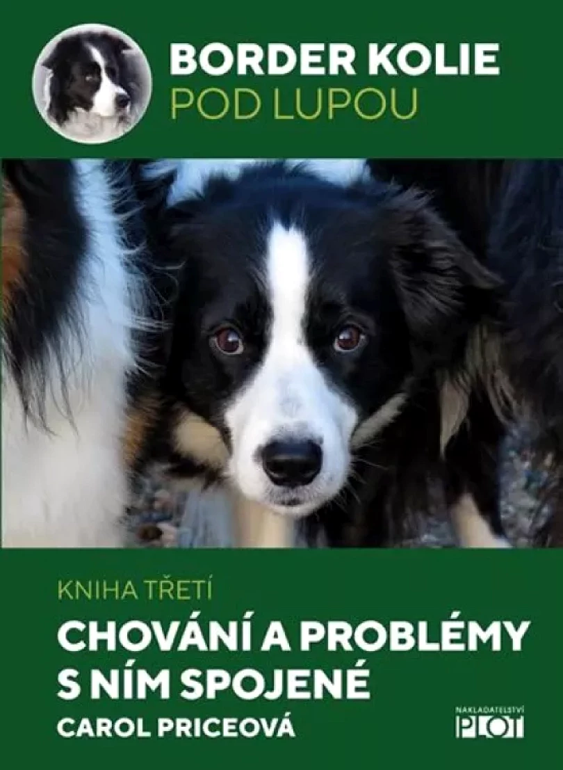 Border kolie pod lupou (Carol Priceová,, 2020)