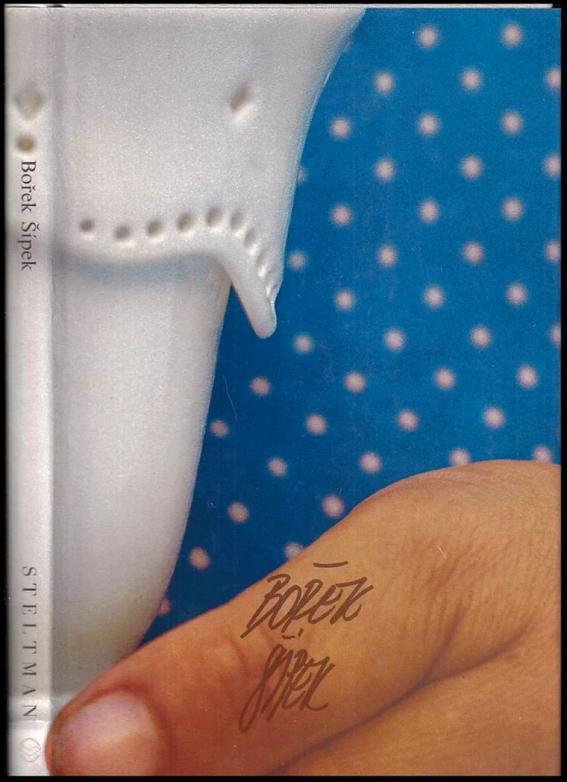 Levně Bořek Šípek: Blízkost dálky - architektura a design (Bořek Šípek, 1993)