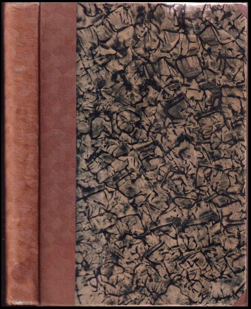 Levně Bouřlivý proud (Luigi Motta, 1930)