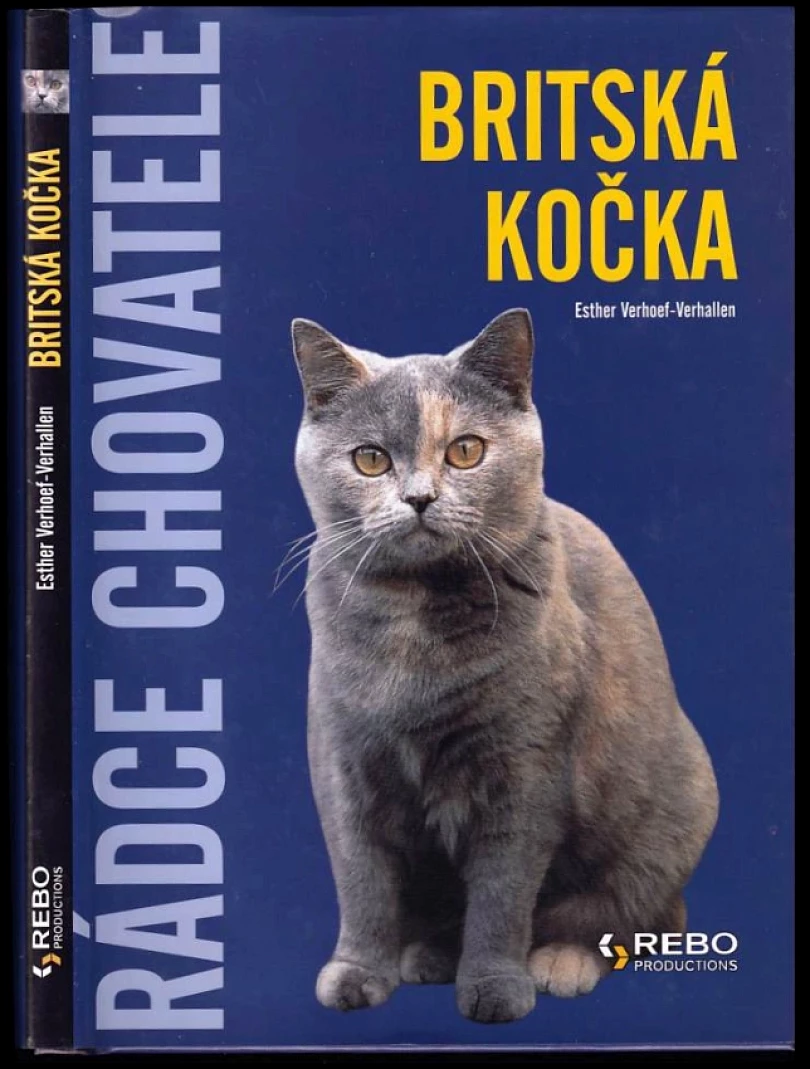 Britská kočka (Esther Verhoef-Verhallen, 2008)