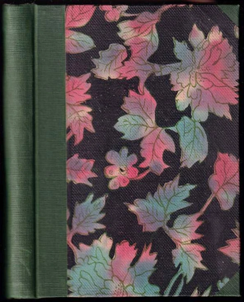 Levně Břízky AUTORSKÁ DEDIKACE GABRIELA PREISSOVÁ (Gabriela Preissová, 1913)