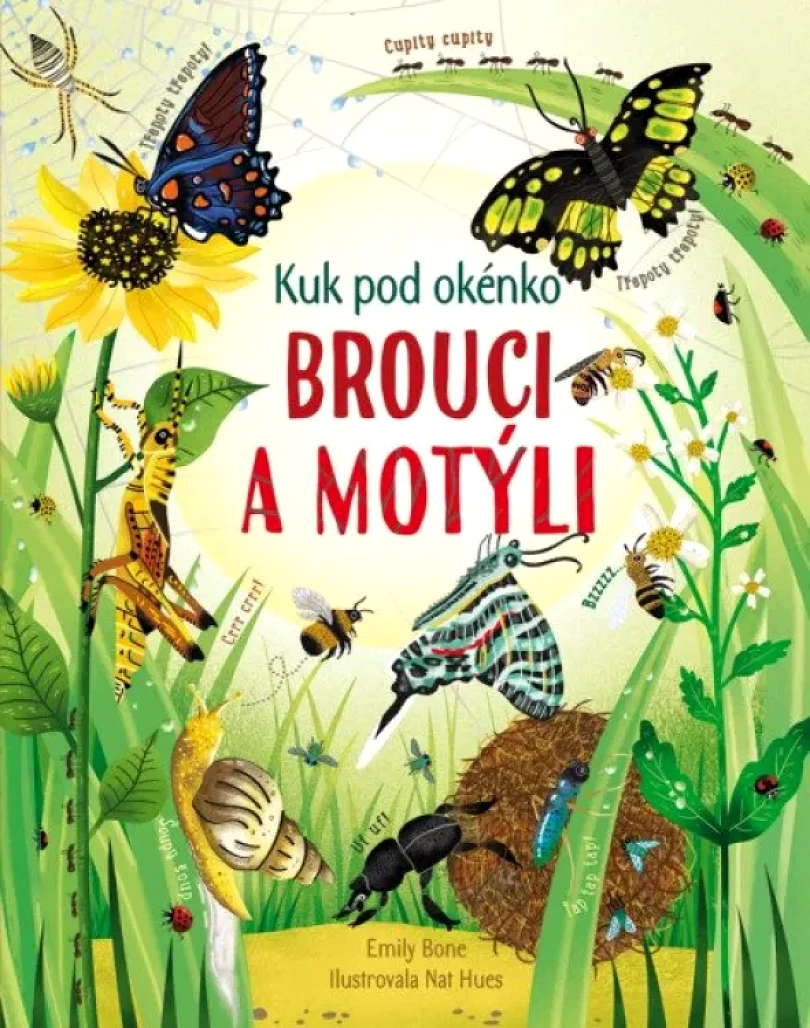 Levně Brouci a motýli (Emily Bone, 2019)