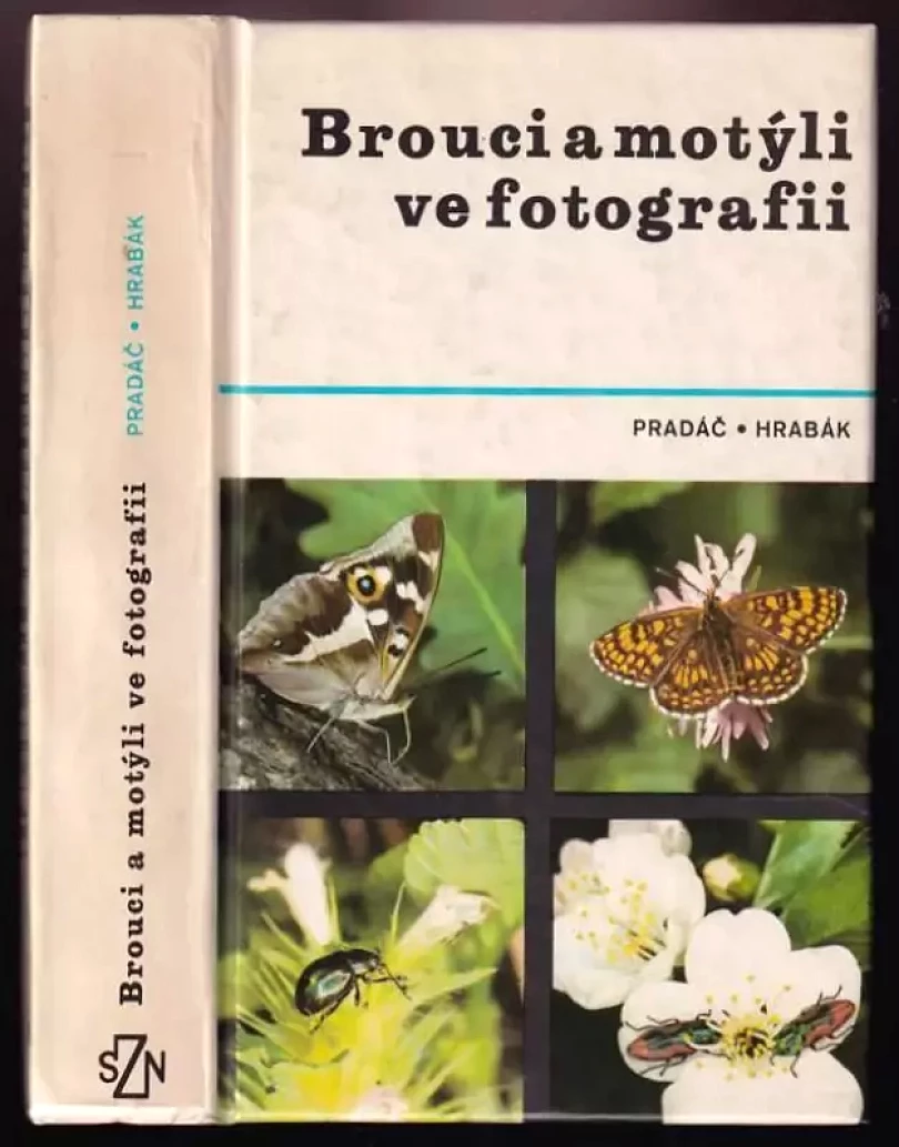 Levně Brouci a motýli ve fotografii (Jiří Pradáč, 1982)