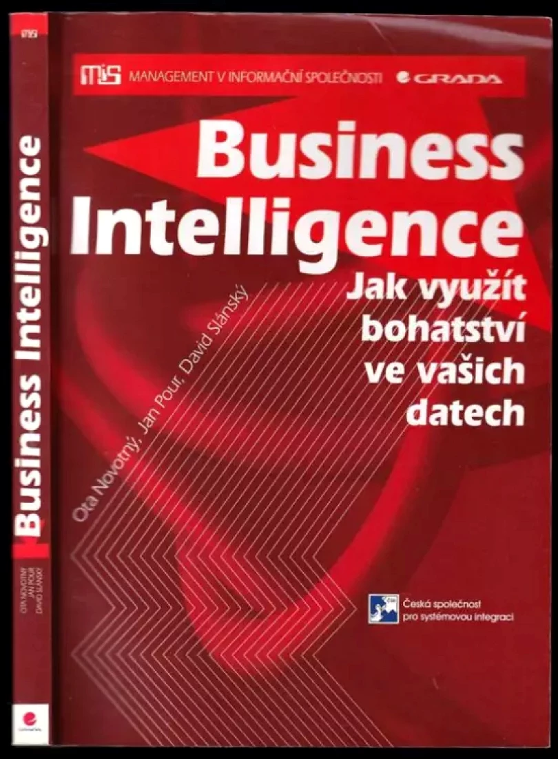 Business intelligence (Jan Pour, 2005)