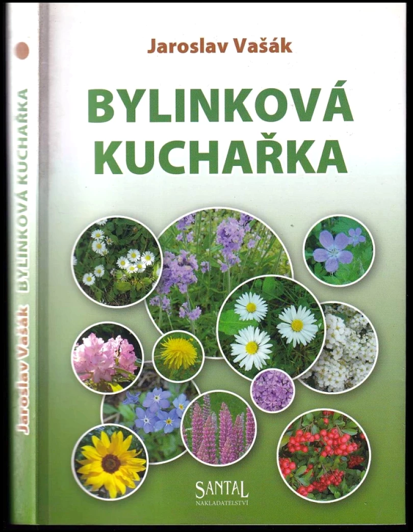 Levně Bylinková kuchařka (Jaroslav Vašák, 2011)