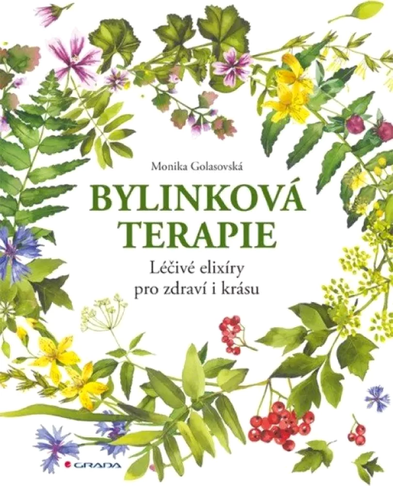 Bylinková terapie (Monika Golasovská, 2020)