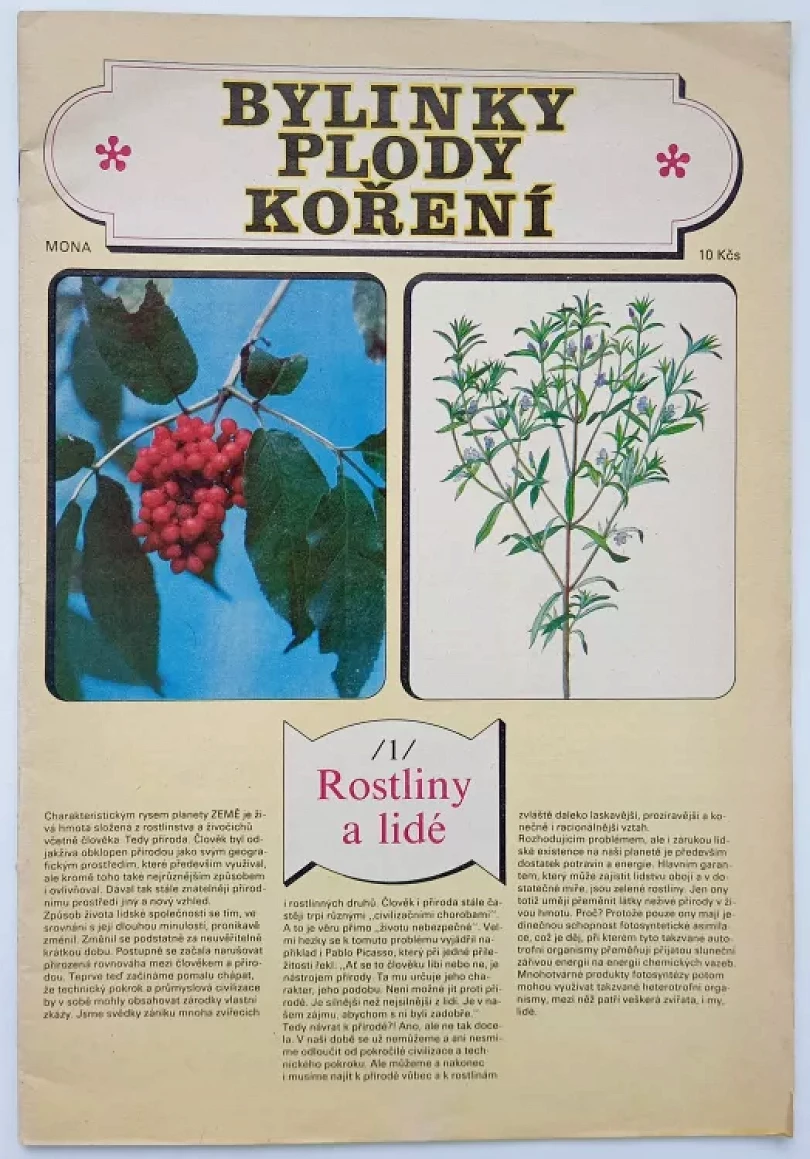 Bylinky, plody, koření (Bohumír Hlava, 1983)