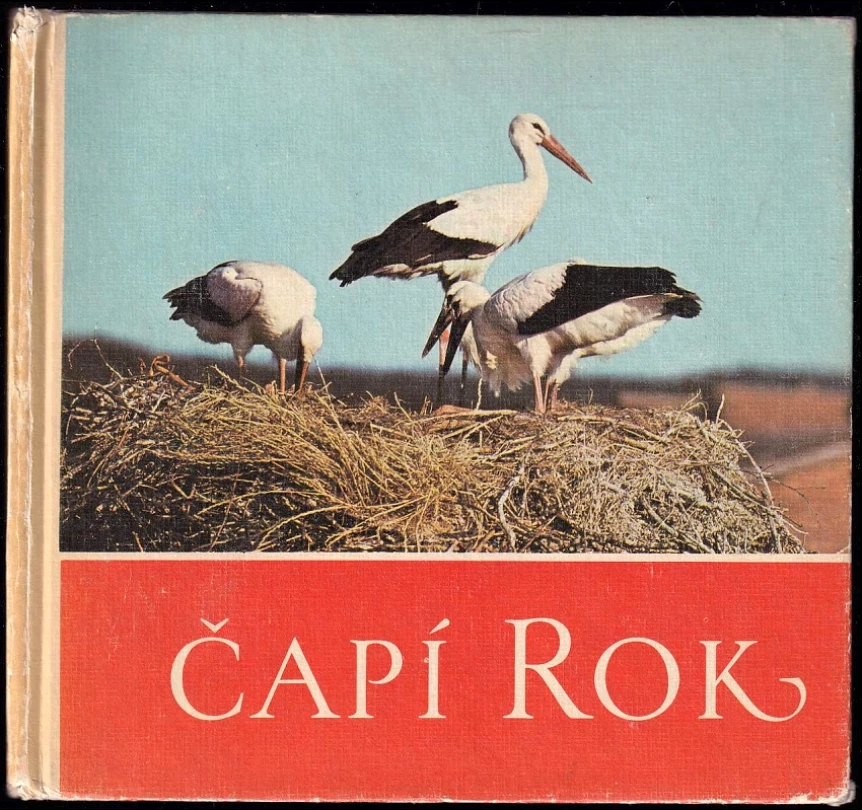Čapí rok (Claus Schönert, 1980)