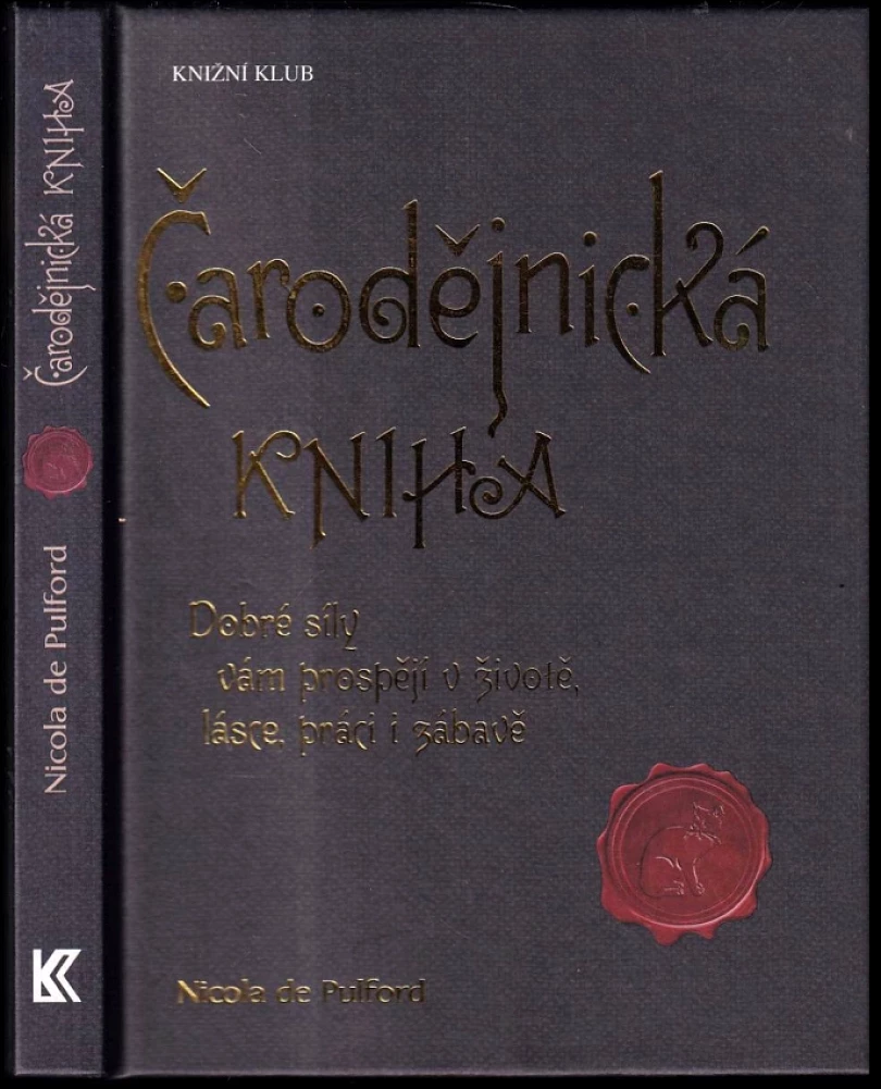 Levně Čarodějnická kniha (Nicola De Pulford, 2016)