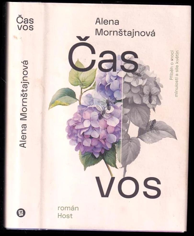 Levně Čas vos (Alena Mornštajnová, 2025)