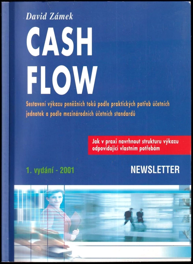 Levně Cash flow (David Zámek, 2001)