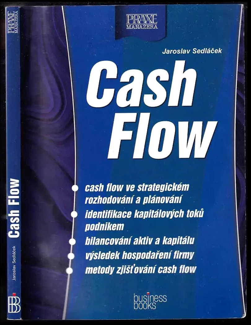 Cash Flow (Jaroslav Sedláček, 2003)