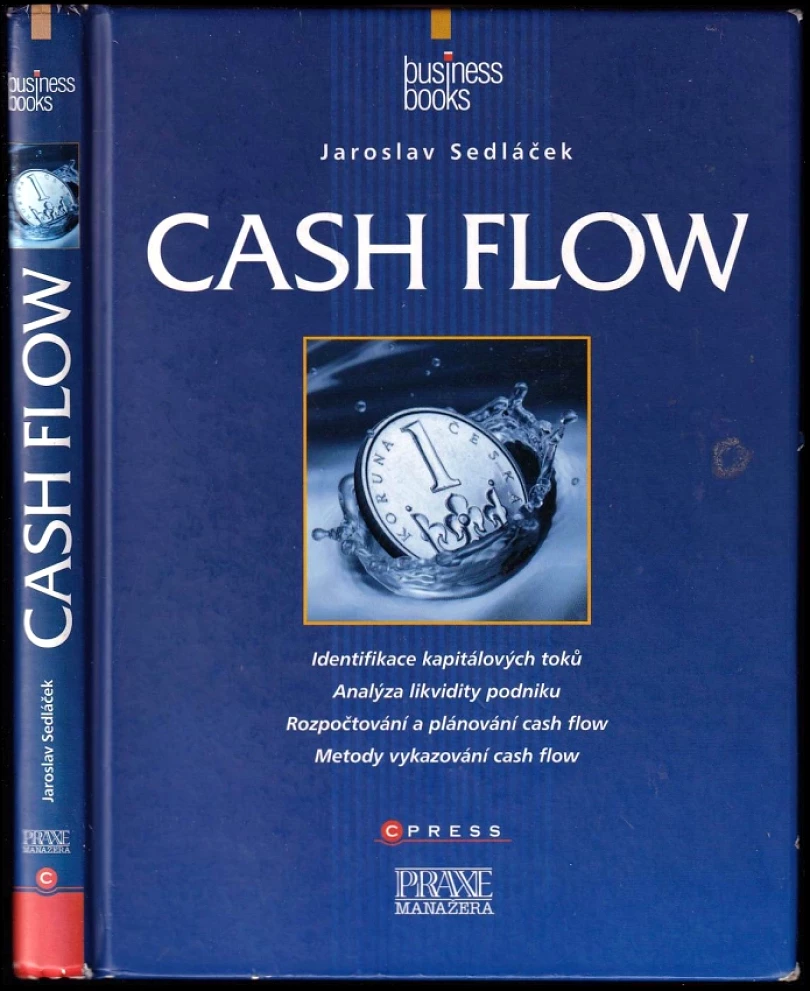 Cash flow (Jaroslav Sedláček, 2010)
