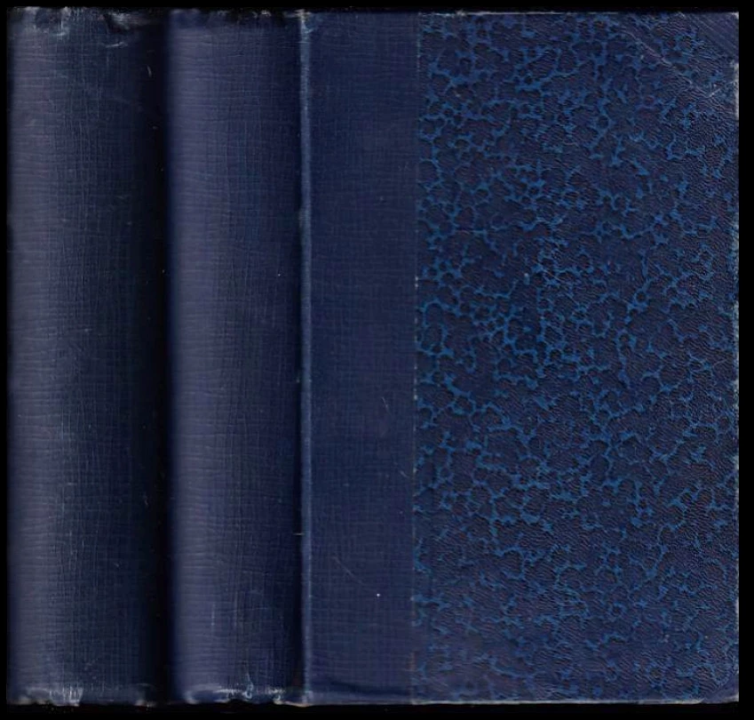 Levně Čechy po Bílé Hoře: Kniha I., díl 1-3, Kniha II.. díl 1 NEKOMPLETNÍ (Ernest Denis, 1911)
