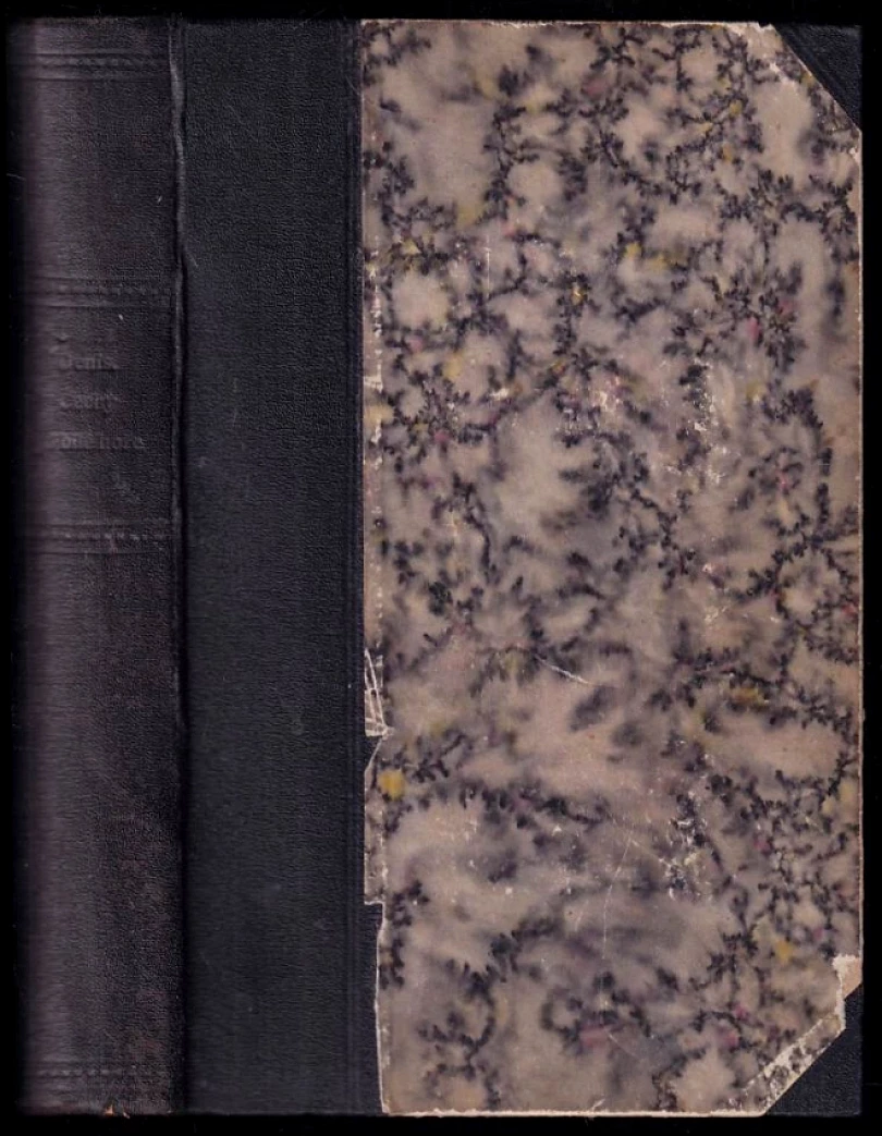 Čechy po Bílé hoře (Ernest Denis, 1904)