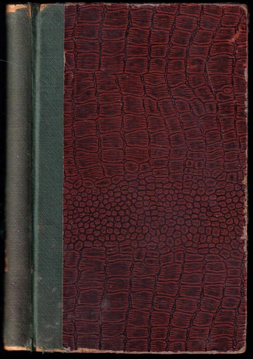 Levně Černá milenka (Louis-Charles Royer, 1920)