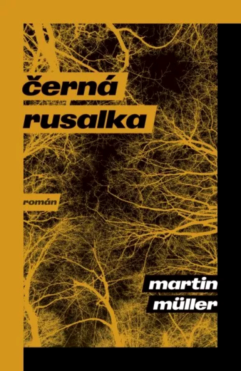 Levně Černá rusalka (Martin Müller, 2022)