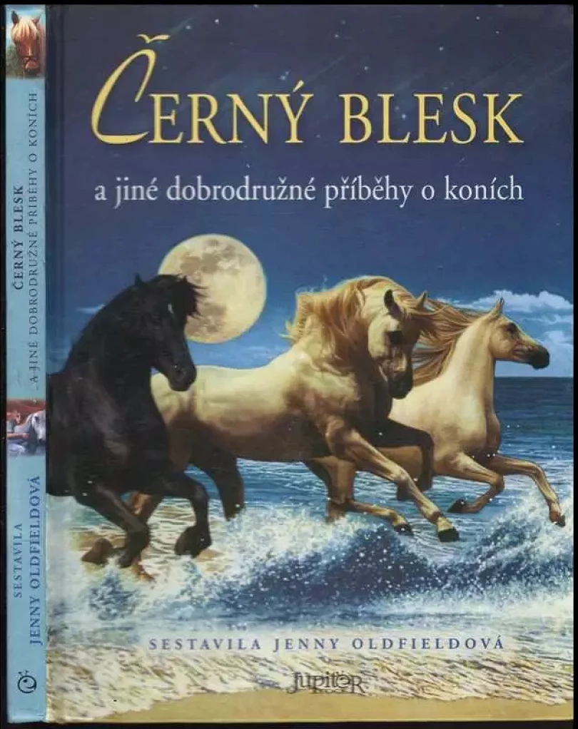Levně Černý blesk a jiné dobrodružné příběhy o koních (, 2008)