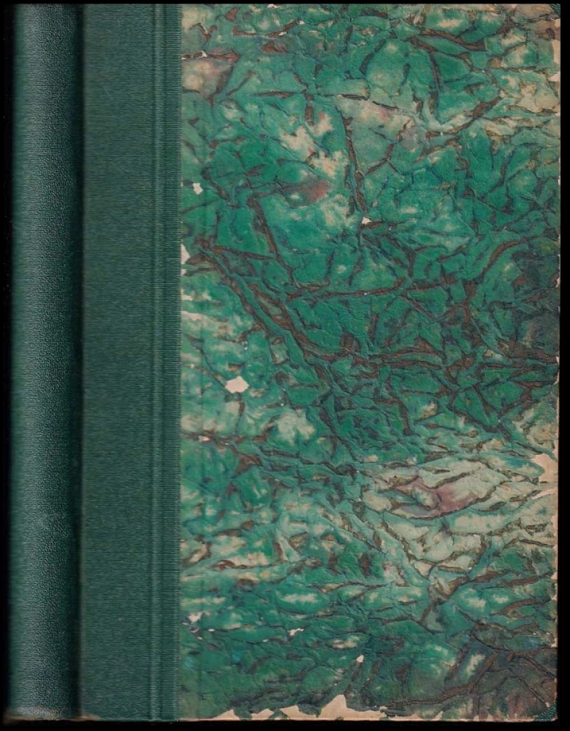 Levně Černý blesk (Eduard Fiker, 1936)