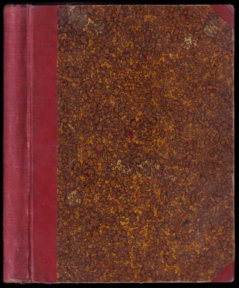 Levně Česká dívka, KOMPLETNÍ ROČNÍK VII. (, 1910)