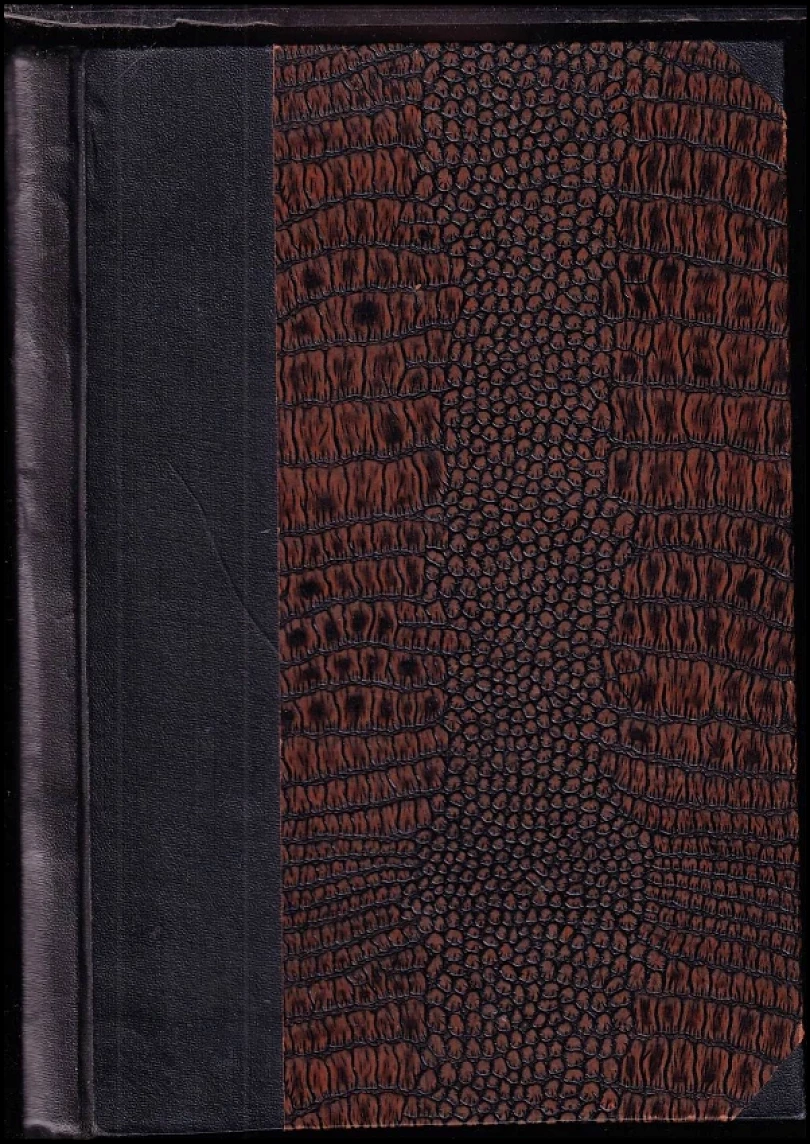 Československé legie v Italii (1915-1918) (Josef Logaj, 1922)