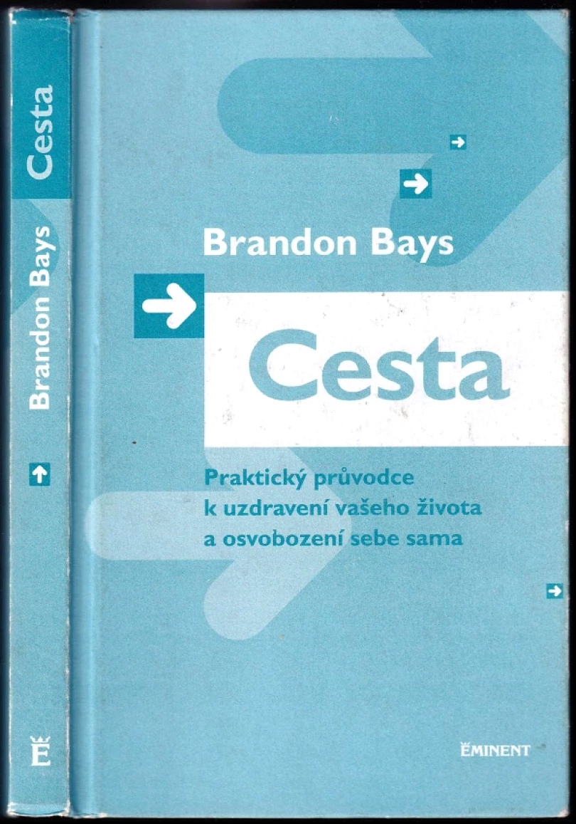 Levně Cesta (Brandon Bays, 2007)