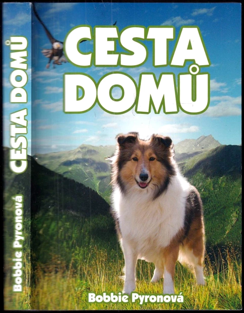 Levně Cesta domů (Bobbie Pyron, 2014)