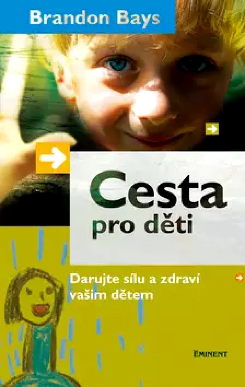Levně Cesta pro děti (Brandon Bays, 2007)