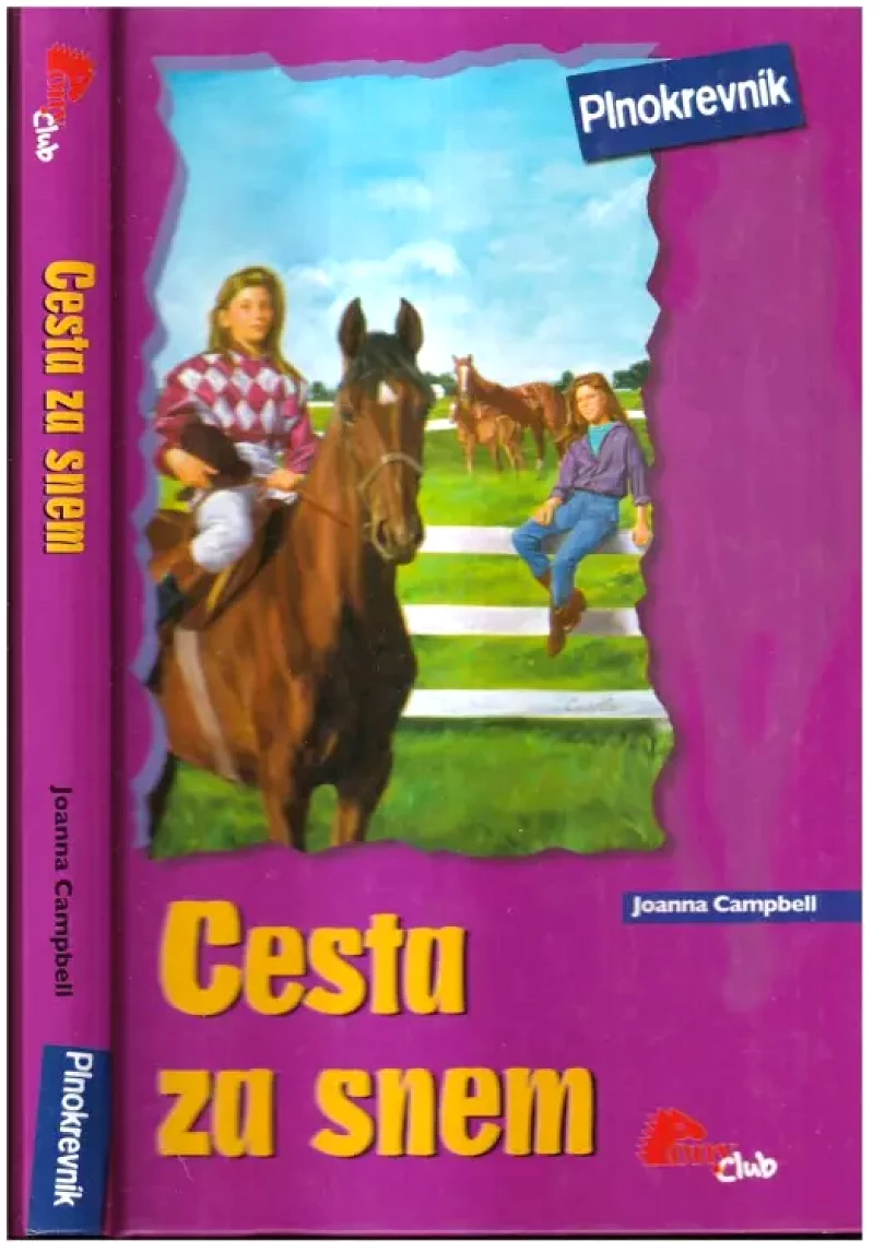 Levně Cesta za snem (Joanna Campbell, 2008)