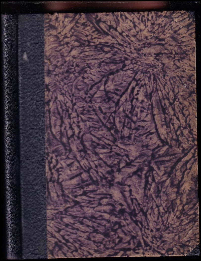 Levně Cestou světla (Miloslav Skořepa, 1925)