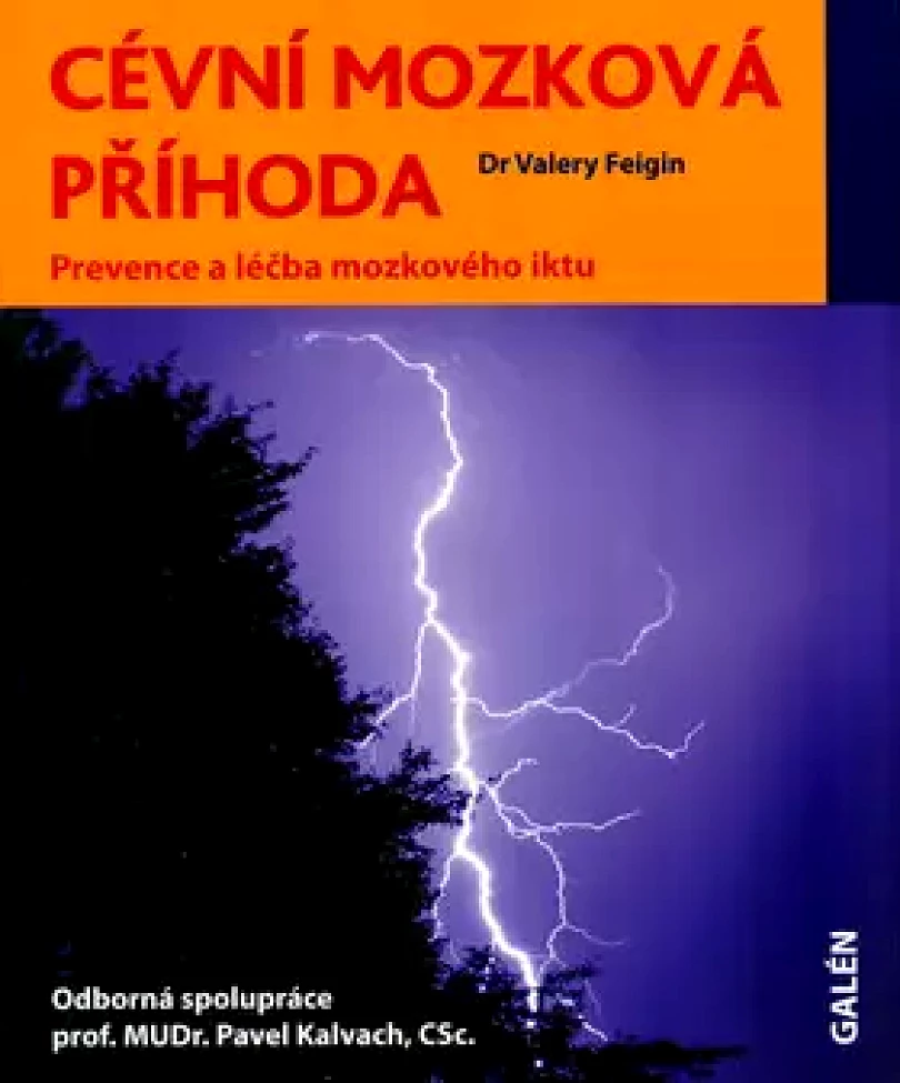 Levně Cévní mozková příhoda (Valery Feigin,, 2007)