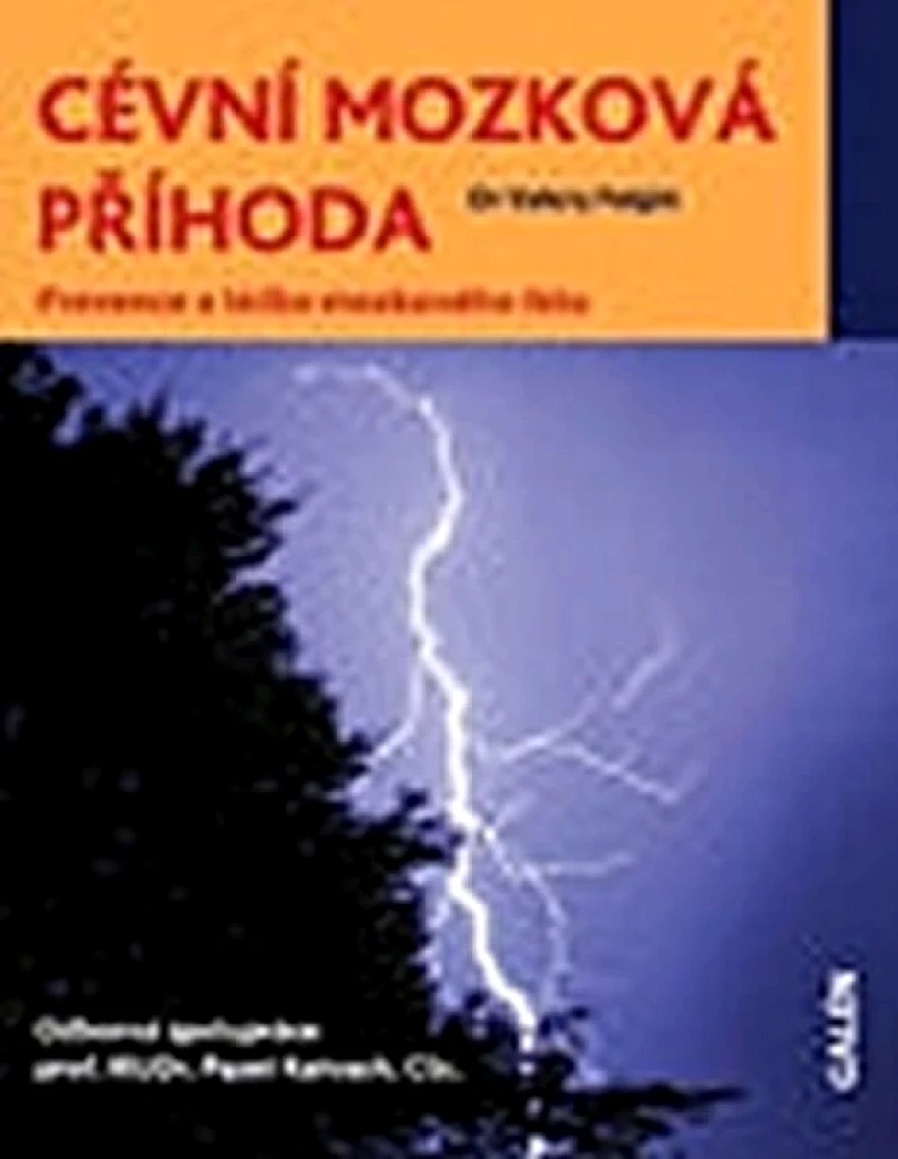 Levně Cévní mozková příhoda (Valery L Feigin, 2011)