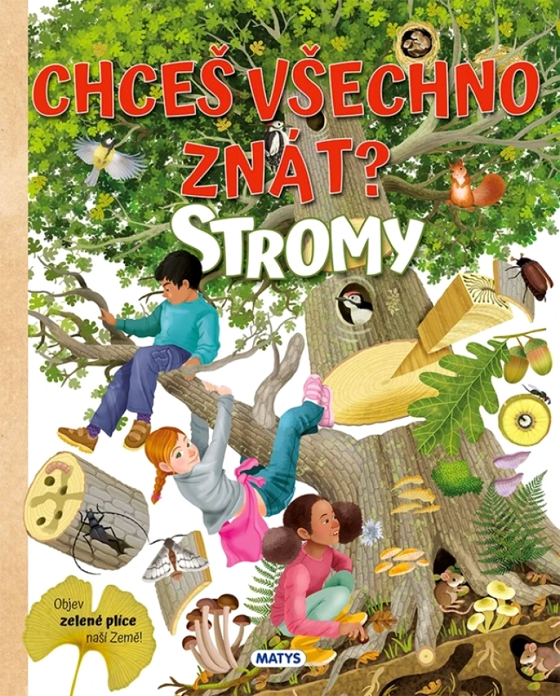 Levně Chceš všechno znát? Stromy (Barsotti Eleonora, 2024)