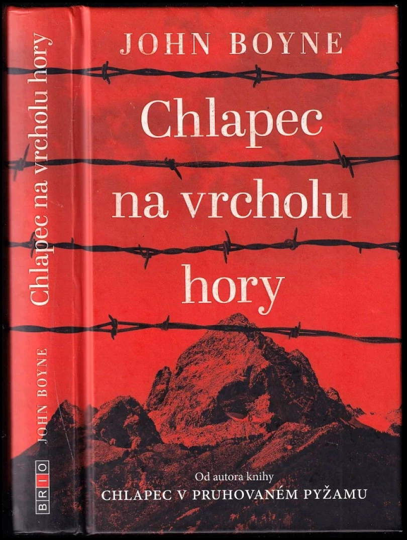 Chlapec na vrcholu hory (John Boyne, 2017)