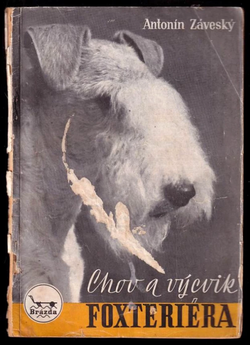 Levně Chov a výcvik foxteriéra (Antonín Záveský, 1949)
