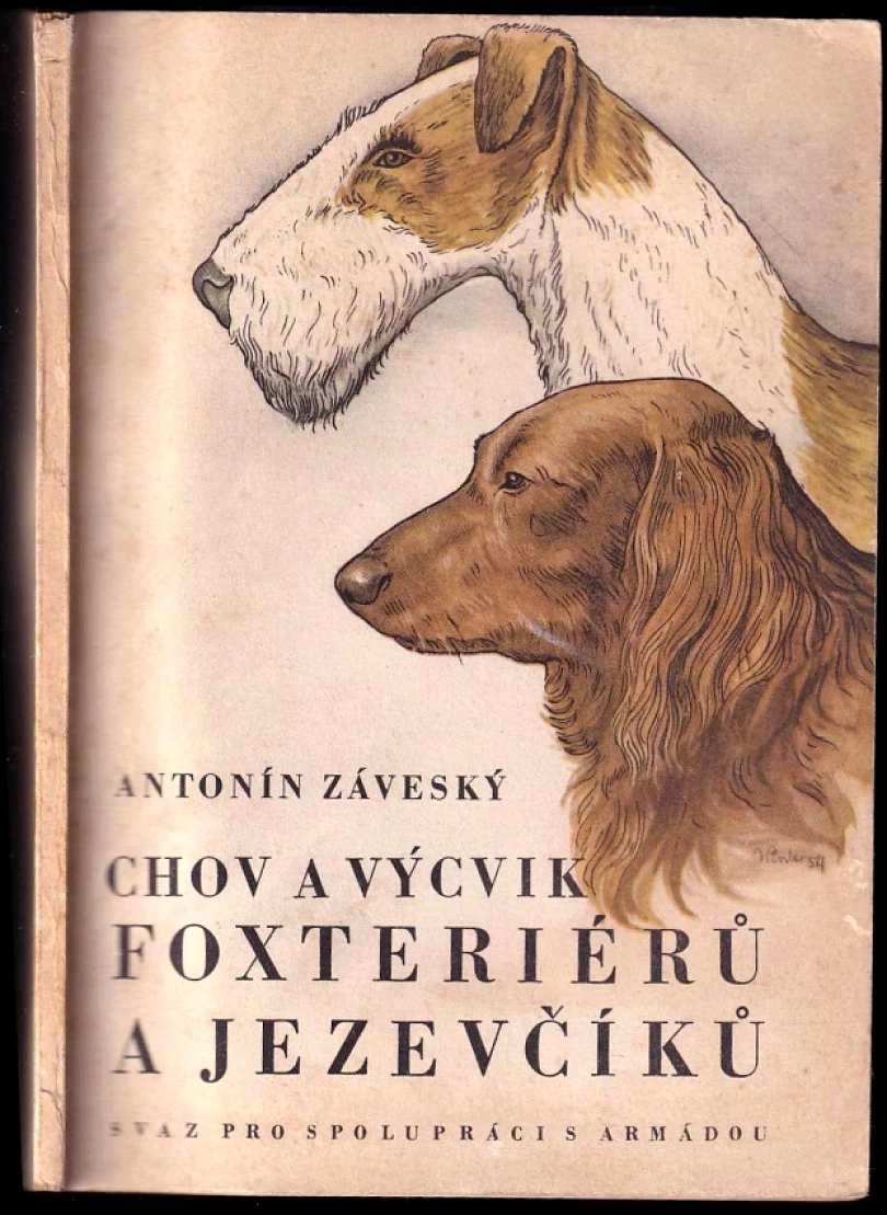 Levně Chov a výcvik foxteriérů a jezevčíků (Antonín Záveský, 1954)