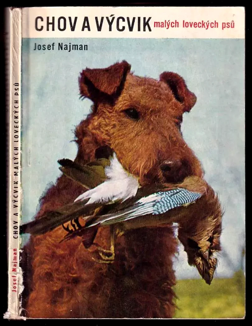 Levně Chov a výcvik malých loveckých psů (Josef Najman, 1970)