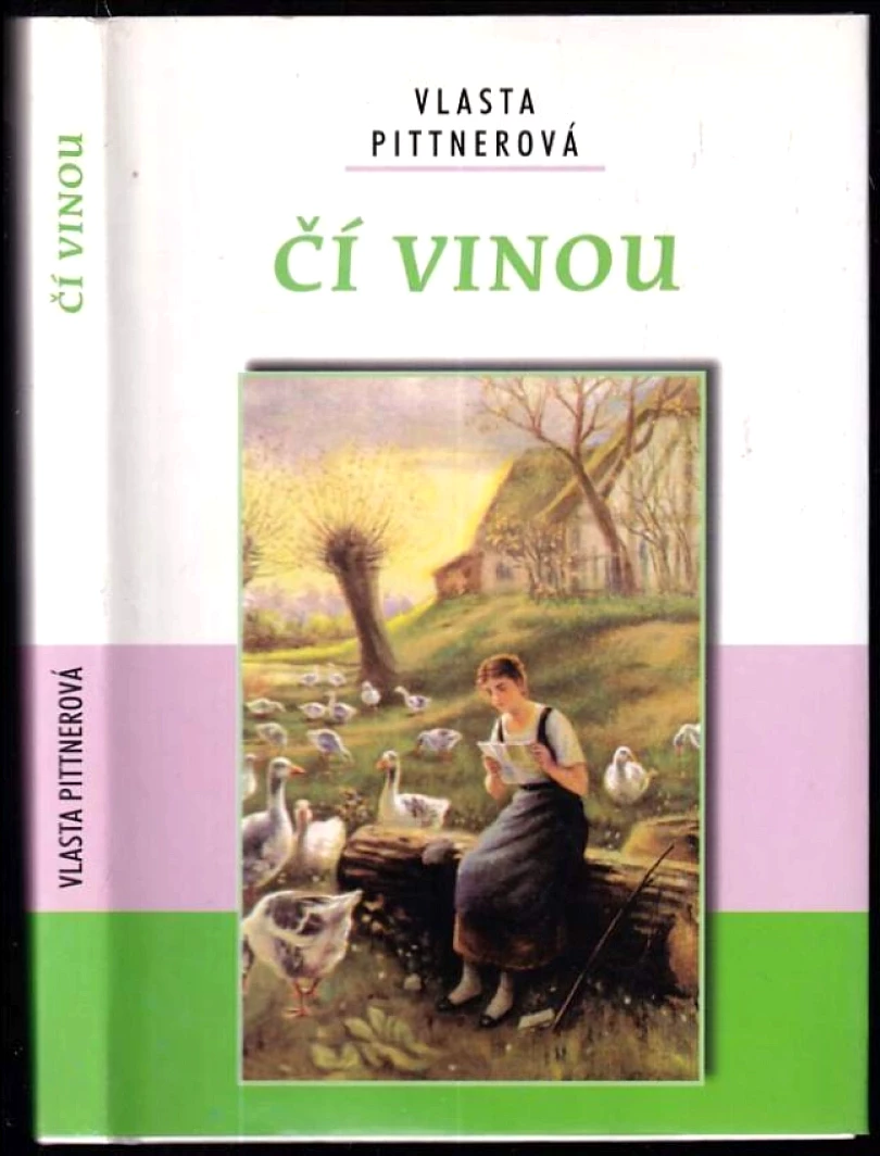 Čí vinou (Vlasta Pittnerová, 2006)